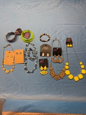 Lot of 10 items of Chic Paparazzi & Fashion Jewelry.